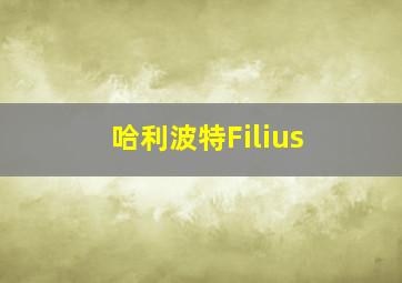 哈利波特Filius