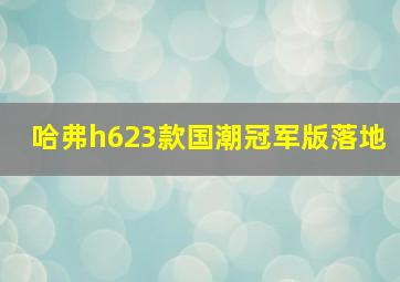 哈弗h623款国潮冠军版落地