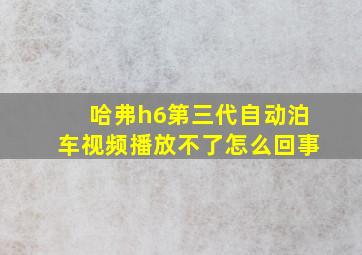 哈弗h6第三代自动泊车视频播放不了怎么回事