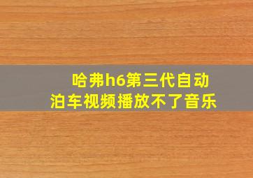 哈弗h6第三代自动泊车视频播放不了音乐