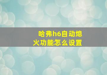 哈弗h6自动熄火功能怎么设置