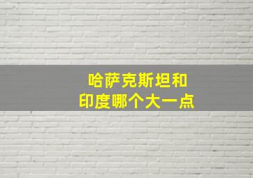 哈萨克斯坦和印度哪个大一点