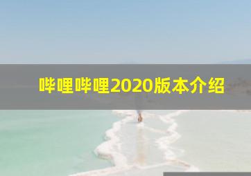 哔哩哔哩2020版本介绍