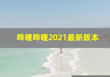 哔哩哔哩2021最新版本