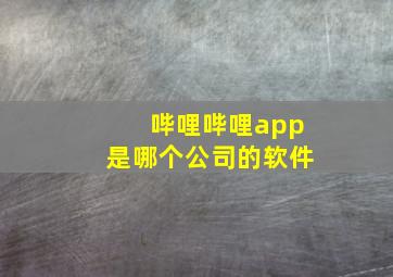 哔哩哔哩app是哪个公司的软件