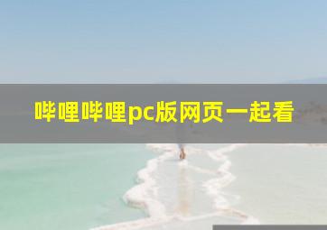 哔哩哔哩pc版网页一起看