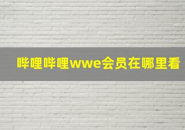 哔哩哔哩wwe会员在哪里看