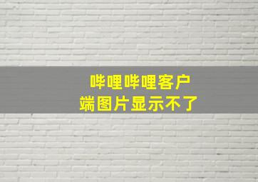 哔哩哔哩客户端图片显示不了