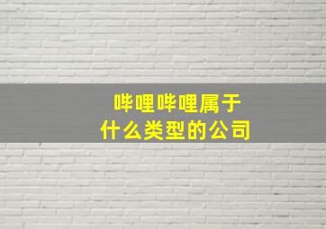 哔哩哔哩属于什么类型的公司