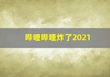 哔哩哔哩炸了2021