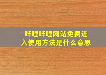 哔哩哔哩网站免费进入使用方法是什么意思