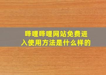 哔哩哔哩网站免费进入使用方法是什么样的