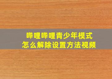 哔哩哔哩青少年模式怎么解除设置方法视频