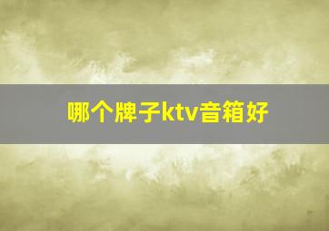 哪个牌子ktv音箱好