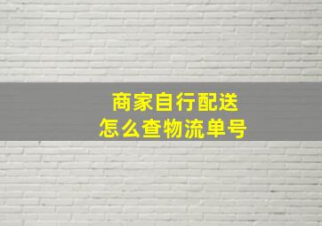 商家自行配送怎么查物流单号