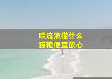 喂流浪猫什么猫粮便宜放心