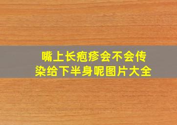 嘴上长疱疹会不会传染给下半身呢图片大全