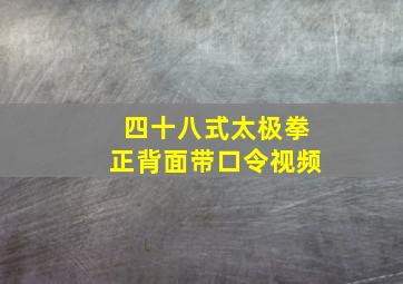 四十八式太极拳正背面带口令视频