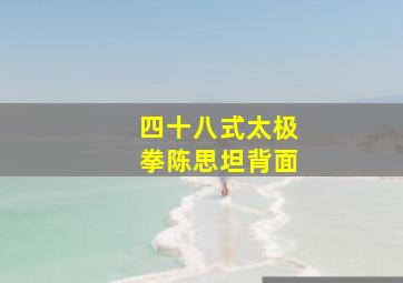 四十八式太极拳陈思坦背面