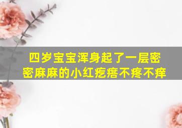 四岁宝宝浑身起了一层密密麻麻的小红疙瘩不疼不痒