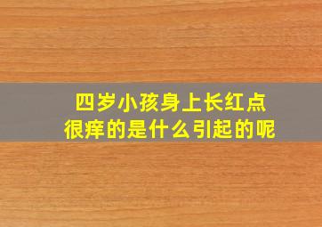 四岁小孩身上长红点很痒的是什么引起的呢