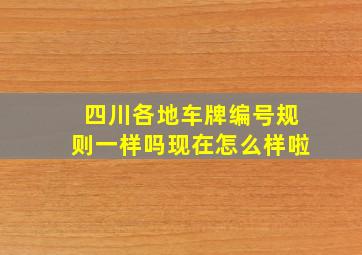 四川各地车牌编号规则一样吗现在怎么样啦