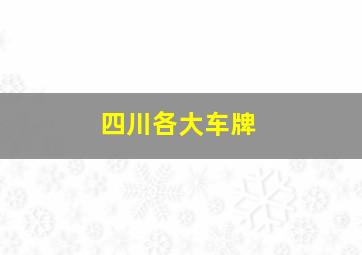 四川各大车牌