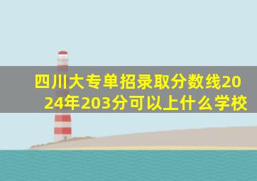 四川大专单招录取分数线2024年203分可以上什么学校