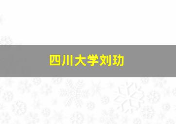 四川大学刘玏