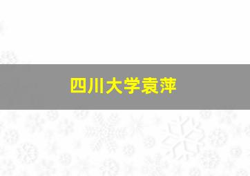 四川大学袁萍