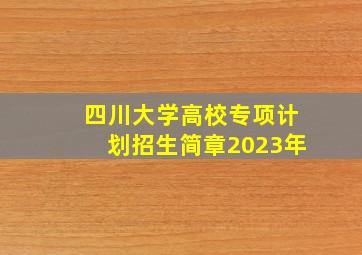 四川大学高校专项计划招生简章2023年