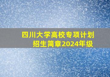 四川大学高校专项计划招生简章2024年级