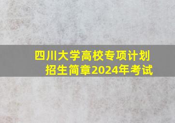 四川大学高校专项计划招生简章2024年考试