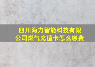 四川海力智能科技有限公司燃气充值卡怎么缴费