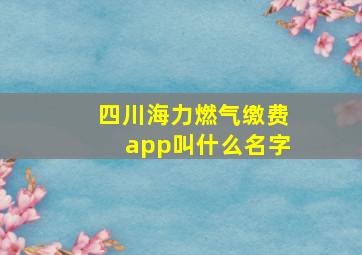 四川海力燃气缴费app叫什么名字