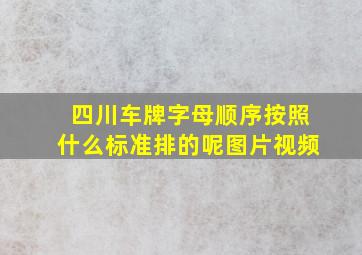 四川车牌字母顺序按照什么标准排的呢图片视频