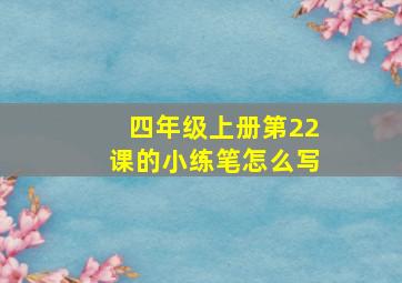 四年级上册第22课的小练笔怎么写