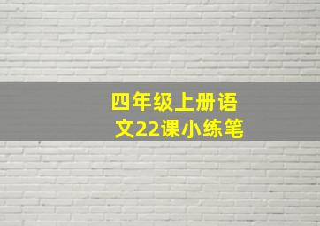 四年级上册语文22课小练笔