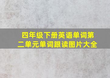 四年级下册英语单词第二单元单词跟读图片大全