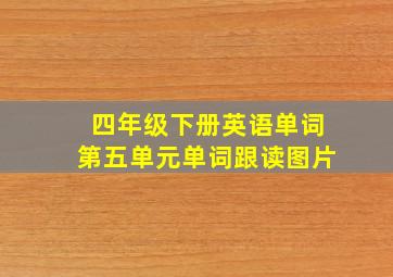 四年级下册英语单词第五单元单词跟读图片