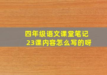 四年级语文课堂笔记23课内容怎么写的呀