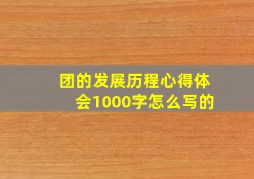 团的发展历程心得体会1000字怎么写的