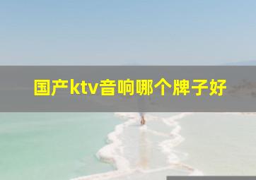 国产ktv音响哪个牌子好