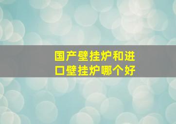 国产壁挂炉和进口壁挂炉哪个好