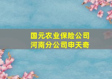 国元农业保险公司河南分公司申天奇