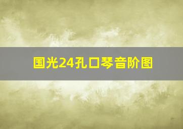 国光24孔口琴音阶图