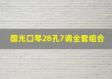 国光口琴28孔7调全套组合