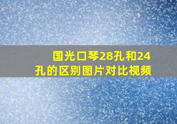 国光口琴28孔和24孔的区别图片对比视频