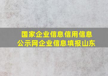 国家企业信息信用信息公示网企业信息填报山东