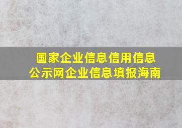 国家企业信息信用信息公示网企业信息填报海南